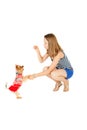 Pretty teen girl feeding cute little dog on white background Royalty Free Stock Photo