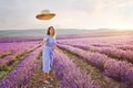 Pretty teen girl walking in lavender field Royalty Free Stock Photo