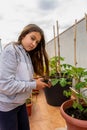 Pretty teenage girl pruning the tomato plant in the urban garden on the terrace of her house