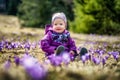 Pretty toddler girl sitting on meadow full of violet flowers Royalty Free Stock Photo