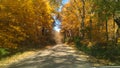 Pretty trees on.both sides of road