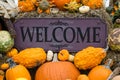 Pretty Up Close Welcome Sign Among Pumpkins, Gourds, Squash and Corn for Autumn Display Royalty Free Stock Photo