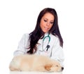 Pretty vet with a cute puppy sleeping Royalty Free Stock Photo