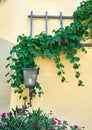 Pretty vignette of a stucco wall  grape vine  wooden trellis and a lamp sconce. Royalty Free Stock Photo