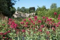 Pretty village of Bibury in the Cotswolds UK, with red valerian flowers in the foreground and Arlington Row cottages at back Royalty Free Stock Photo