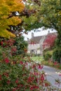 Pretty village of Biddestone near Chippenham in the Cotswolds, Wiltshire UK. Photographed in autumn with fuschia flowers in foregr Royalty Free Stock Photo