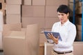 Woman inspecting inventory on tablet in warehouse with cardboard boxes, open pallet box, copy space Royalty Free Stock Photo