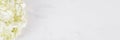 Pretty White Flowers Banner with Copy Space Royalty Free Stock Photo