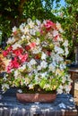 Pretty white and pink blossoms crowding tiny bonsai tree hidden by pedals on garden bench