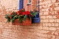 Pretty window box with holiday arrangement