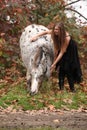 Pretty woman with appaloosa horse in autumn Royalty Free Stock Photo