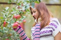 Pretty woman with autumn apple crop near tree