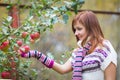 Pretty woman with autumn apple crop near tree