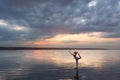 Pretty woman doing yoga at sunset outdoors Royalty Free Stock Photo