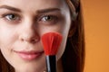 pretty woman face closeup makeup brush glamor Royalty Free Stock Photo