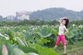 Pretty woman in lotu fields Royalty Free Stock Photo