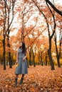 Pretty woman posing in autumn park near big tree. Beautiful landscape at fall season Royalty Free Stock Photo