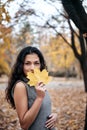 Pretty woman posing with maple`s leaf in autumn park near big tree. Beautiful landscape at fall season Royalty Free Stock Photo