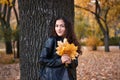 Pretty woman posing with maple`s leaves in autumn park near big tree. Beautiful landscape at fall season Royalty Free Stock Photo