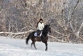 Pretty woman riding her horse through snow fields Royalty Free Stock Photo