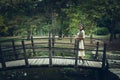 Pretty woman in romantic style dress on wooden bridge in park Royalty Free Stock Photo