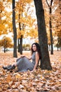Pretty woman is sitting in autumn park near big tree. Beautiful landscape at fall season Royalty Free Stock Photo