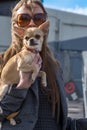 Pretty woman in sunglasses with small chihuahua in hands