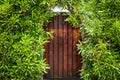 Pretty wooden door surrounded by green plants
