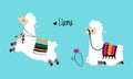 Pretty Wooly Llama or Alpaca Wearing Knitted Blanket Sitting and Jumping Vector Set