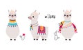 Pretty Wooly Llama or Alpaca Wearing Knitted Blanket Standing Vector Set