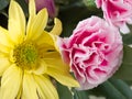 Pretty yellow daisy and pink carnation in naturally lit flower arrangement.