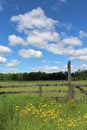 Yellow Wildflowers by a Wooden Fence Around a Green Field Under Blue Sky with Clouds Royalty Free Stock Photo