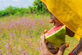 pretty young african lady enjoying a delicious slice of watermelon fruit outside Royalty Free Stock Photo