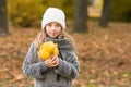 Teen girl in autumn nature with yellow maple leavesin hand. Autumn and fall concept with copy Royalty Free Stock Photo