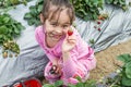 Pretty Young Girl Picking Fruit at Strawberry Farm Royalty Free Stock Photo