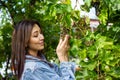 Pretty young girl in the vineyard, pretty young girl in the garden, young girl with grapes Royalty Free Stock Photo