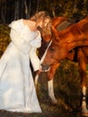 pretty young girl in wedding dress posing with her bright red horse in forest at sunny autumn day