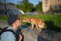 Pretty young man and dog sitting on grass in backyard. Kissing the dog Royalty Free Stock Photo