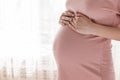 Pretty young pregnant woman standing by the window in home Royalty Free Stock Photo