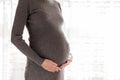 Pretty young pregnant woman standing by the window in home Royalty Free Stock Photo