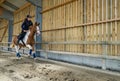 pretty young rider on horseback galloping in an equestrian center