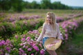 Pretty Young tender woman walking in the tea roses field. Blond lady wearing jeans and retro hat enjoy summer day Royalty Free Stock Photo