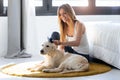 Pretty young woman brushing her dog`s hair while sitting on the floor at home Royalty Free Stock Photo