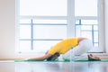 Pretty young woman doing YOGA exercise Royalty Free Stock Photo