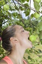 Pretty young woman eating organic apples from an apple tree Royalty Free Stock Photo