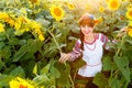 Pretty young woman in embrodery on a sunflower field Royalty Free Stock Photo