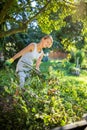 Pretty, young woman gardening in her garden, cutting branches