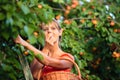 Pretty, young woman picking apricots lit by warm summer evening Royalty Free Stock Photo