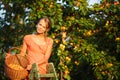 Pretty, young woman picking apricots lit Royalty Free Stock Photo