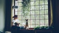 Pretty young woman is reading book sitting on windowsill and looking outside together with cute pedigree dog. Beautiful Royalty Free Stock Photo